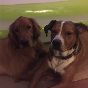 Meet your Posher, Michael